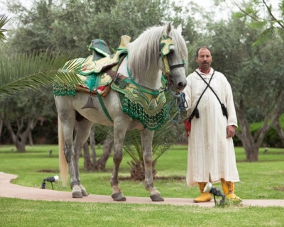 Cheval mariage